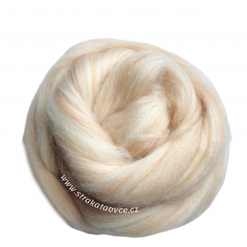 Lasturová 25-28 mic